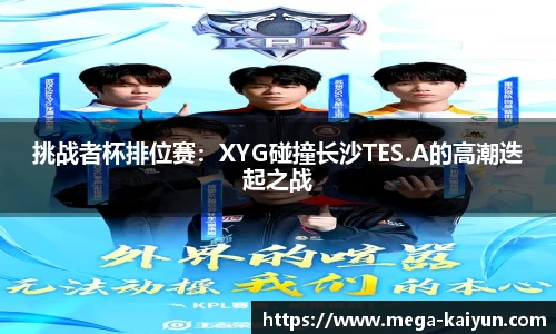 开云官方网站